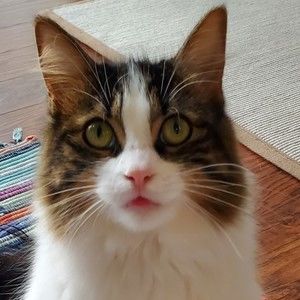 Meet your Posher, Judy